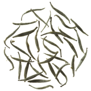 Silver Needle