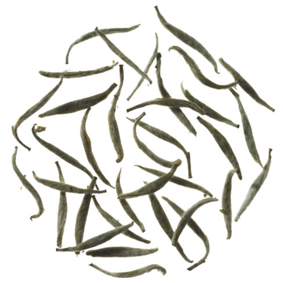 silverneedle Silver Needle